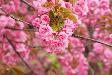 苏州相城区8线下个人借款平台一站式服务，轻松解决资金难题