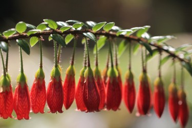 苏州相城区8零用贷短借：轻松解决临时资金需求