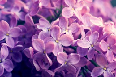 苏州相城区8企业急用钱贷款攻略：快速融资解燃眉之急